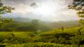 02514 thehillsofmunnar 1920x1080